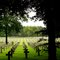 Deutscher Soldatenfriedhof - German Soldiers Cemetery, Ysselsteyn