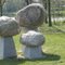 Art in stone Lode Tibos, Coevorden