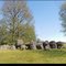 Hunebed (dolmen) D14, Eext, the Netherlands (panorama)
