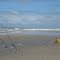 Texel - strand