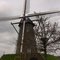 Sint Antonius wind mill type beltmolen yaer 1861 Heythuysen