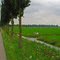 NED Edam {country area} from Edammerweg by KWOT