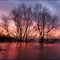 Pannerden - Rising water by sunrise