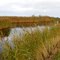 Texel - E.T.-shaped pond near Oudeschild