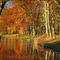 Reflectie in autumn colors