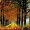 Autumn colors in Alteveer