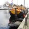 Pius harbour, Tilburg, The Netherlands