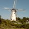 Windmill Veldhoven