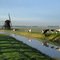 MILL & COWS.....Dutch landscape.