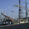 Tall Ship "Astrid" in Oudeschild