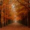 Coelhorst Mansion - autumn, The Netherlands