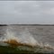 Harde wind en hoogwater bij Lauwersmeer