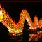 China Light Festival The Dragon Heading into  the New Year ! 