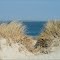 Vlielander-dunes, glimpse onto Terschelling