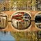 Canal Reflections - Prinsengracht - Amsterdam  - [By Stathis Chionidis]