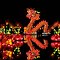 The Dragon and the Lotusflowers , China Light Festival Rotterdam